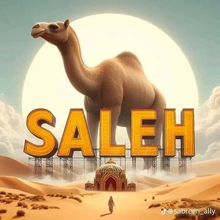 Hazrat Saleh (A.S.): The Prophet Sent to the People of Thamud